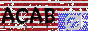 acab button